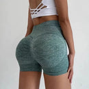 Shorts Feminino de Academia em Malha Premium